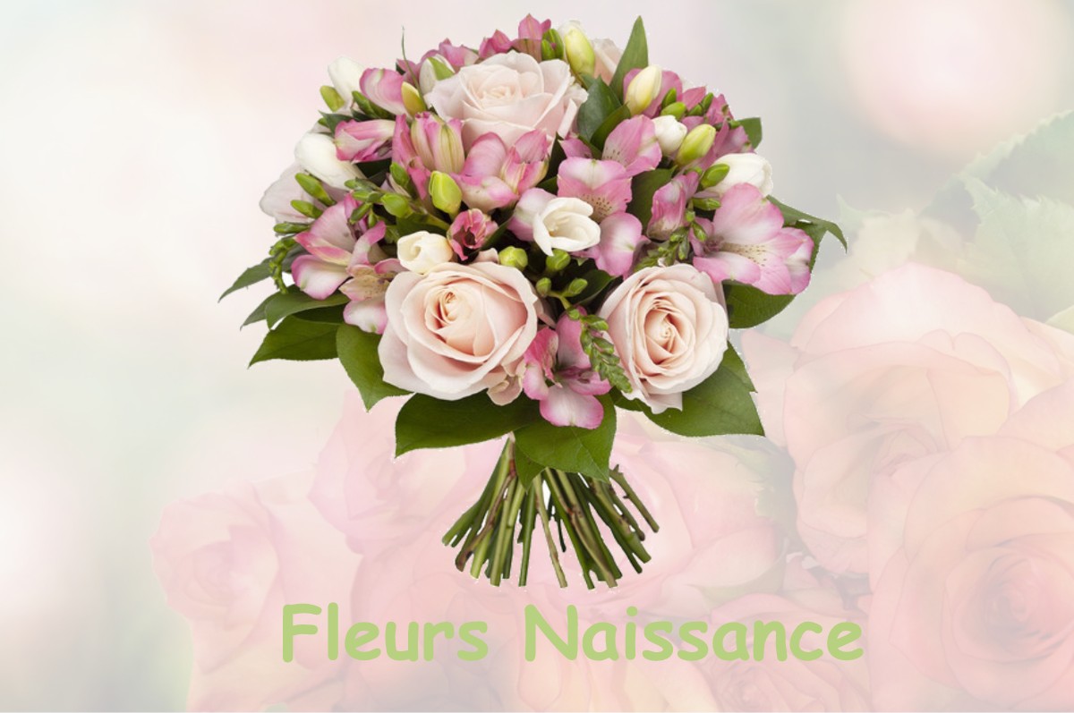 fleurs naissance FAY-EN-MONTAGNE