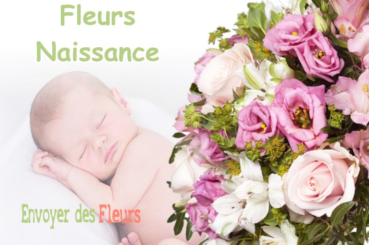 lIVRAISON FLEURS NAISSANCE à FAY-EN-MONTAGNE